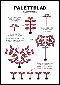 Palettblads Guide