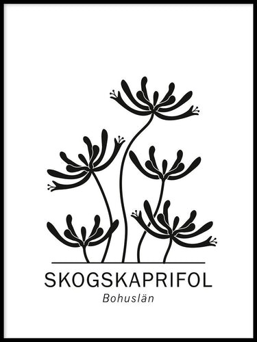Skogskaprifol, Bohusläns landskapsblomma
