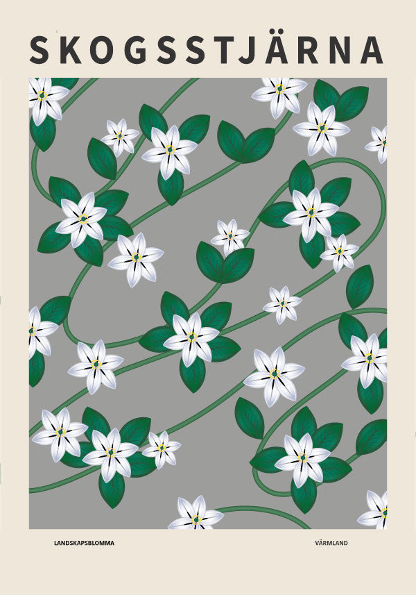 Skogsstjärna, Värmlands landskapsblomma