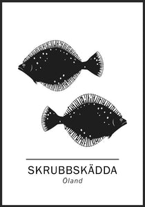 Skrubbskädda, Ölands landskapsfisk