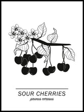 Ladda bilder till galleriet, Sour Cherries Poster