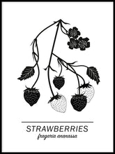 Ladda bilder till galleriet, Strawberries Poster