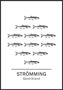 Strömming, Gästriklands landskapsfisk