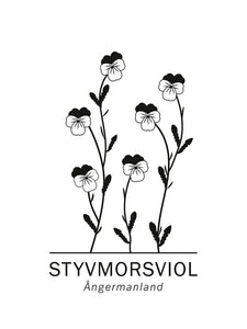 Styvmorsviol, Ångermanlands landskapsblomma