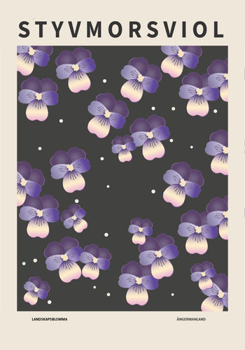 Styvmorsviol, Ångermanlands landskapsblomma