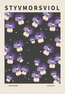 Styvmorsviol, Ångermanlands landskapsblomma