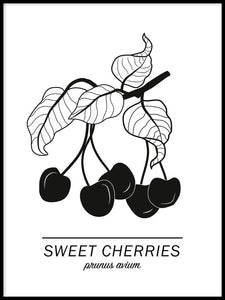 Sweet Cherries Poster