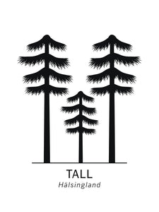 Tall, Hälsinglands landskapsblomma