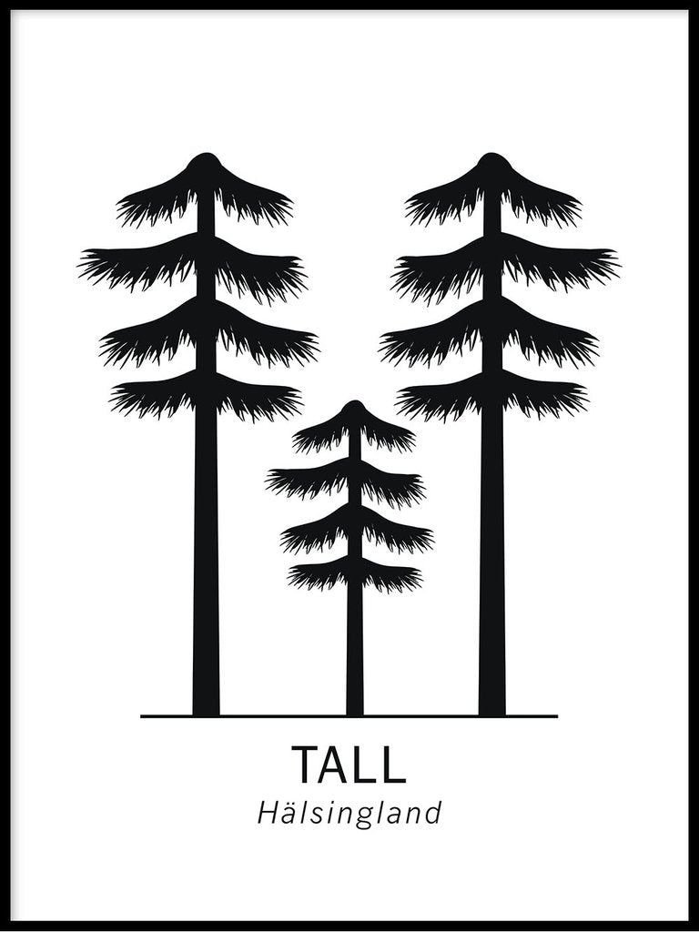 Tall, Hälsinglands landskapsblomma