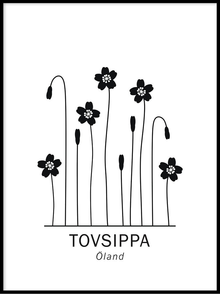 Tovsippa, Ölands landskapsblomma