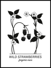 Ladda bilder till galleriet, Wild Strawberries Poster
