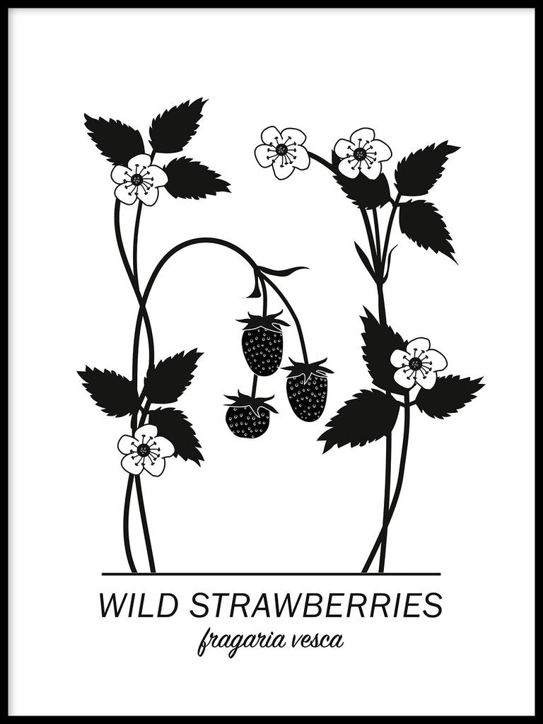 Wild Strawberries Poster