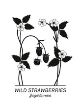 Ladda bilder till galleriet, Wild Strawberries Poster