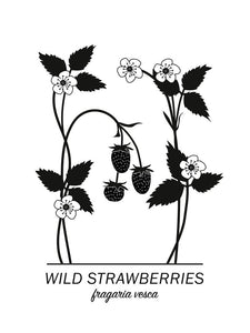 Wild Strawberries Poster